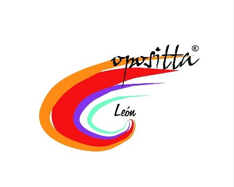 Academia Opositta Leon